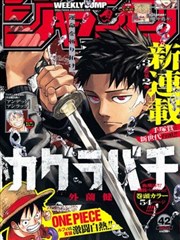飞卢武侠同人作品纸鸢与刀封面